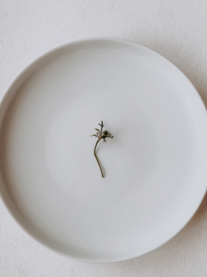 Assiette moderne